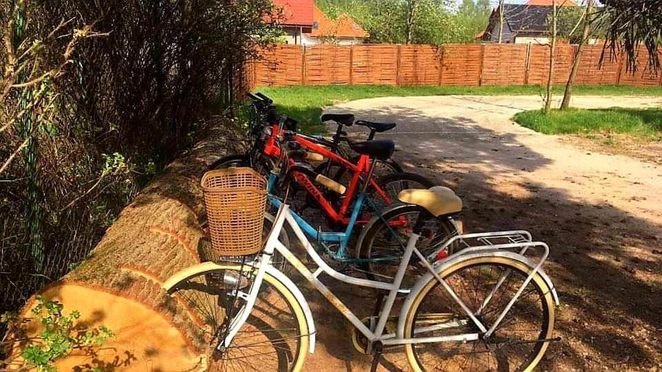 Miodowy Zakatek Caloroczne Domki I Pokoje Przy Suntago, Deepspot, Pyszne Sniadania, Grill, Ognisko Mszczonow Luaran gambar