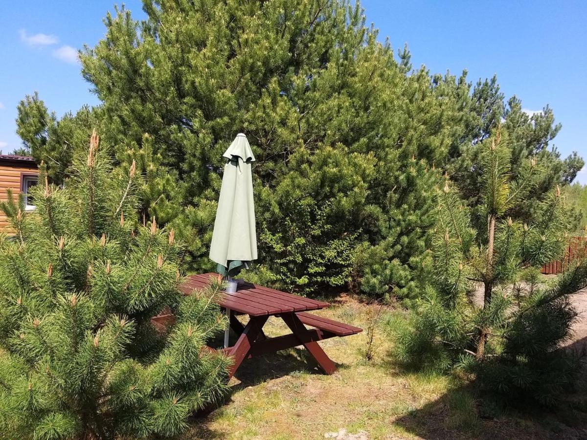 Miodowy Zakatek Caloroczne Domki I Pokoje Przy Suntago, Deepspot, Pyszne Sniadania, Grill, Ognisko Mszczonow Luaran gambar