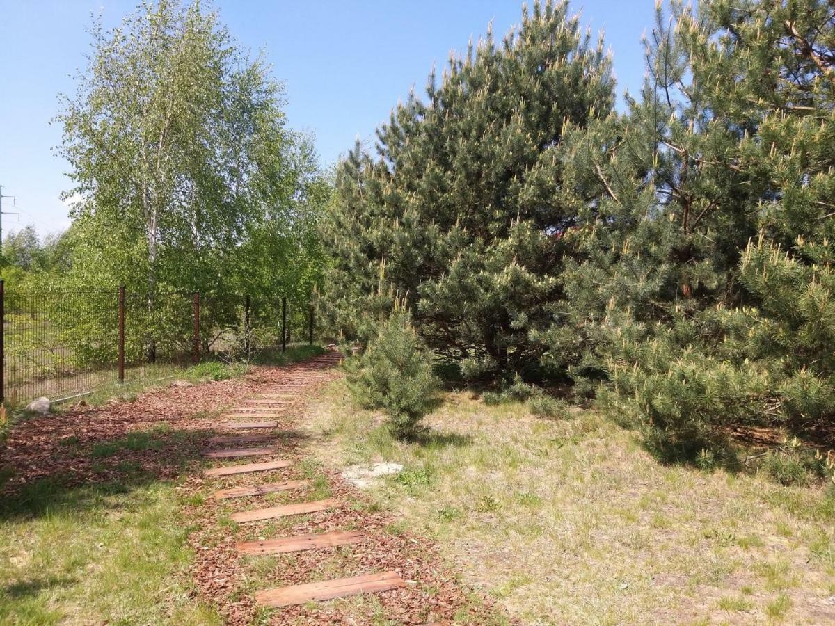 Miodowy Zakatek Caloroczne Domki I Pokoje Przy Suntago, Deepspot, Pyszne Sniadania, Grill, Ognisko Mszczonow Luaran gambar
